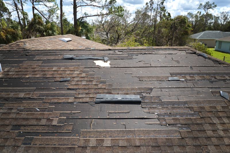 Roof Damage Assessment